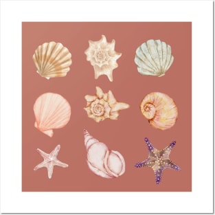 Seashells Collection Posters and Art